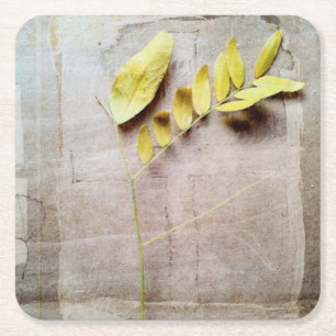 Porta-copo De Papel Quadrado Herbário V