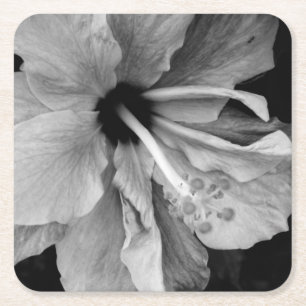 Porta-copo De Papel Quadrado Hibisco