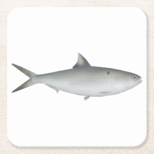 Porta-copo De Papel Quadrado Hilsa Shad
