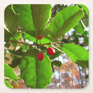 Porta-copo De Papel Quadrado Holly Sai do Feriado II Botânico