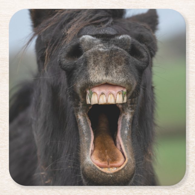 Porta-copo De Papel Quadrado Horse Showing His Teeth (Frente)