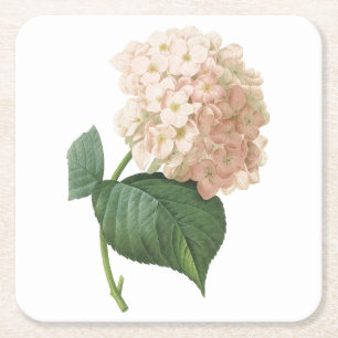 Porta-copo De Papel Quadrado hortensia(Hydrangea sp.) por Redouté