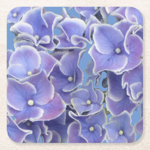 Porta-copo De Papel Quadrado Hydrangea azul com Porta copos de White Border Pap