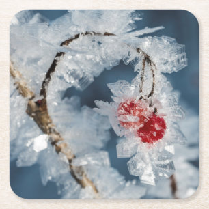 Porta-copo De Papel Quadrado Ice Berries