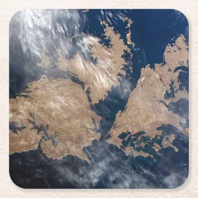 Porta-copo De Papel Quadrado Ilhas Falkland (Ilhas Malvinas). (Frente)