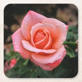 Porta-copo De Papel Quadrado Impressão de Arte Botânica Rosa Romântica