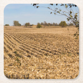 Porta-copo De Papel Quadrado Iowa Cornfield Panorama Foto