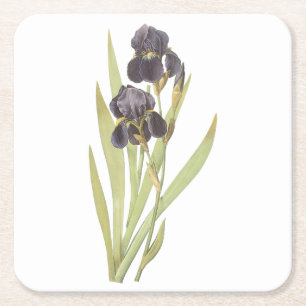 Porta-copo De Papel Quadrado íris com barba (Iris germanica) por Redouté