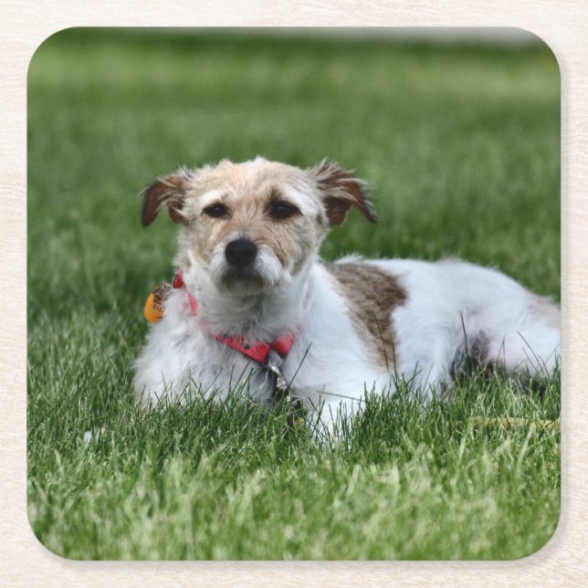 Porta-copo De Papel Quadrado Jack (Frente)