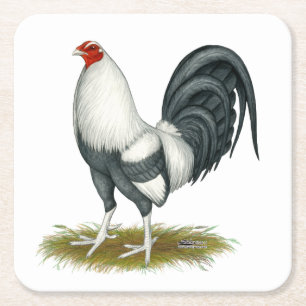 Porta-copo De Papel Quadrado Jogo Americano Silver Blue Gamecock