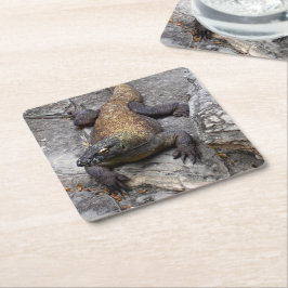 Porta-copo De Papel Quadrado Komodo Dragon Stone Perch