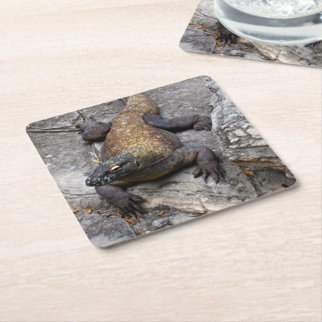 Porta-copo De Papel Quadrado Komodo Dragon Stone Perch (Inclinado)