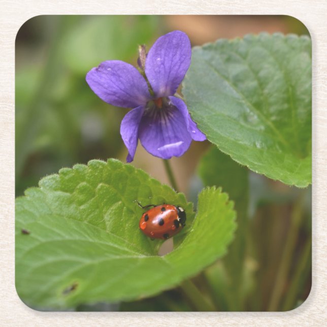 Porta-copo De Papel Quadrado Ladybug em Flores de Violeta Doce (Frente)