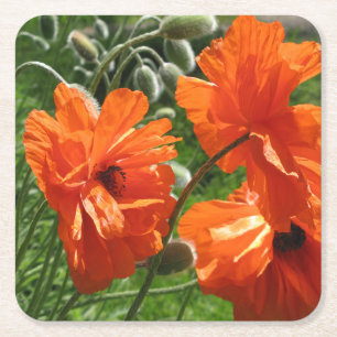 Porta-copo De Papel Quadrado Laranja Harvest Moon Poppies Orientais