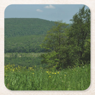 Porta-copo De Papel Quadrado Laurel Highlands Pennsylvania Summer Photoics