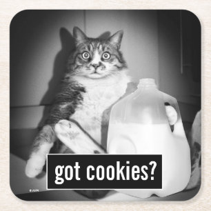 Porta-copo De Papel Quadrado Leite De Bebendo De Gato De Jug