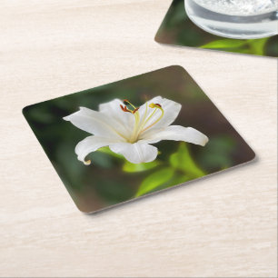 Porta-copo De Papel Quadrado Lily branca-selvagem