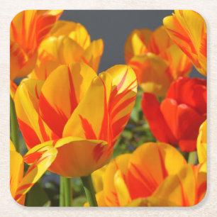 Porta-copo De Papel Quadrado Lindas Tulipas Laranja e Amarelas