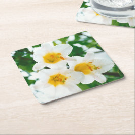 Porta-copo De Papel Quadrado Lírios brancos - Lily Flower Lilium candidata