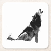 Lobo-de-Howling Branco-Preto