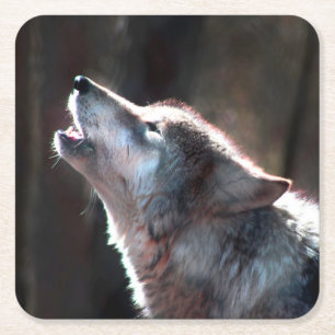 Porta-copo De Papel Quadrado Lobo Uivando Lobo Solitário