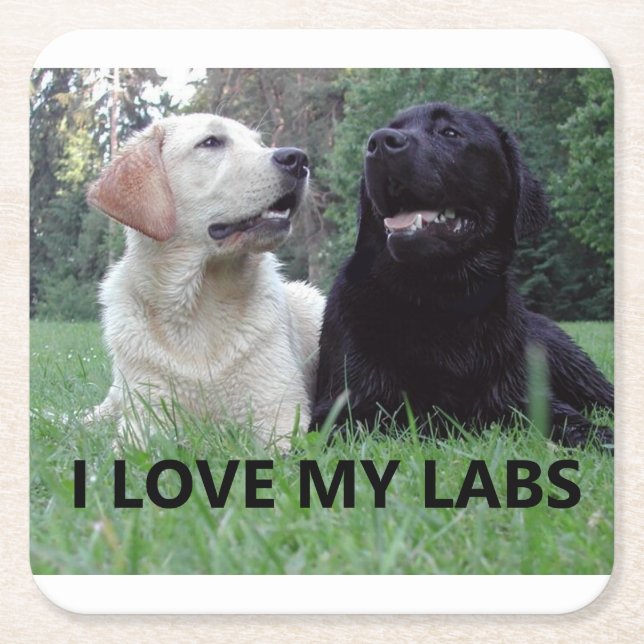 Porta-copo De Papel Quadrado LR I Love My Labs with picture (Frente)