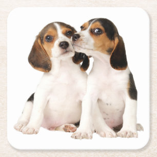 Porta-copo De Papel Quadrado Mãe de Beagle Fofa Amante de Cachorro Pai de Cacho