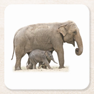 Porta-copo De Papel Quadrado Mãe e Elefante Bebê