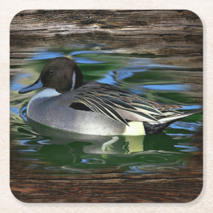 Porta-copo De Papel Quadrado Mallard Duck No Lago