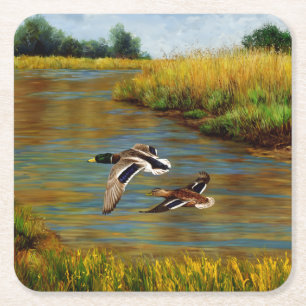 Porta-copo De Papel Quadrado Mallard Ducks Voando Sobre Pond