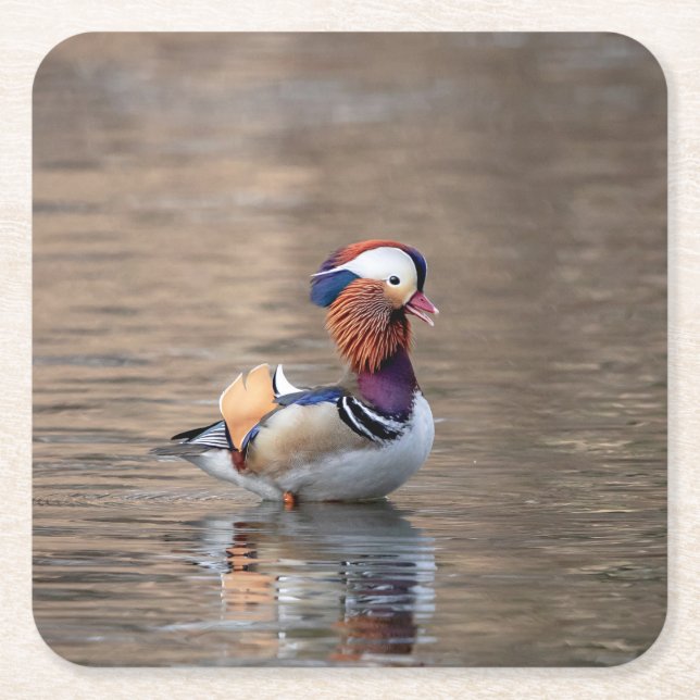 Porta-copo De Papel Quadrado Mandarin Duck (Frente)
