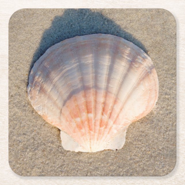 Porta-copo De Papel Quadrado Mar Shell que coloca no Sandy Beach (Frente)