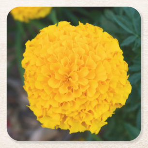 Porta-copo De Papel Quadrado Marigold - Flor Amarelo - Porta copos