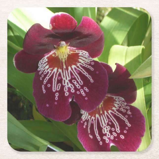 Porta-copo De Papel Quadrado Maroon Orchids II Elegante Floral (Frente)
