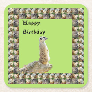 Porta-copo De Papel Quadrado Meerkat Square Birthday Paper Portas copos,