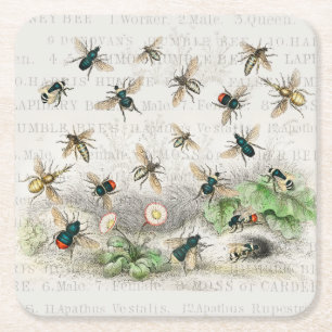 Porta-copo De Papel Quadrado Melhor Rainha Abelha Entomologia Botânica Vintage