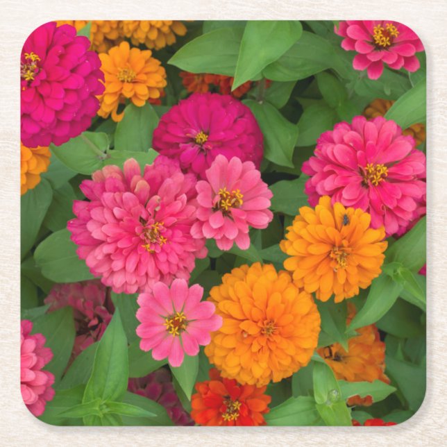 Porta-copo De Papel Quadrado Michigan, Dearborn, Greenfield Village.Close up (Frente)