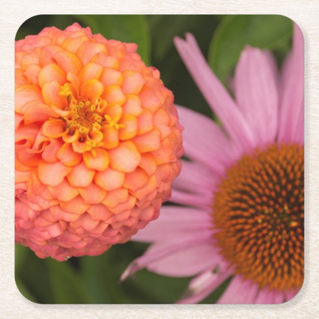 Porta-copo De Papel Quadrado Michigan, Dearborn, Greenfield Village. Pêssego (Frente)