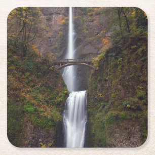 Porta-copo De Papel Quadrado Multnomah cai no outono atrasado