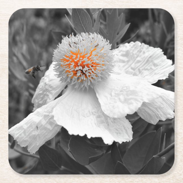 Porta-copo De Papel Quadrado O Fogo Dentro (Frente)