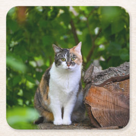 Porta-copo De Papel Quadrado O Gato