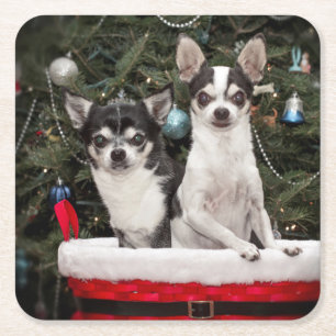 Porta-copo De Papel Quadrado O Natal Chihuahua está num cesto vermelho
