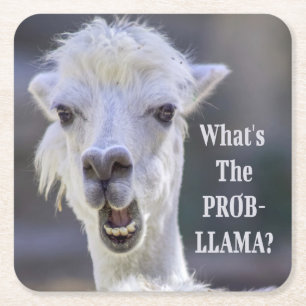 Porta-copo De Papel Quadrado O que é o Prob-Llama? LLAMA, Custa Engraçado