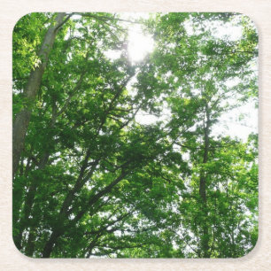 Porta-copo De Papel Quadrado Olhando para as árvores de verão