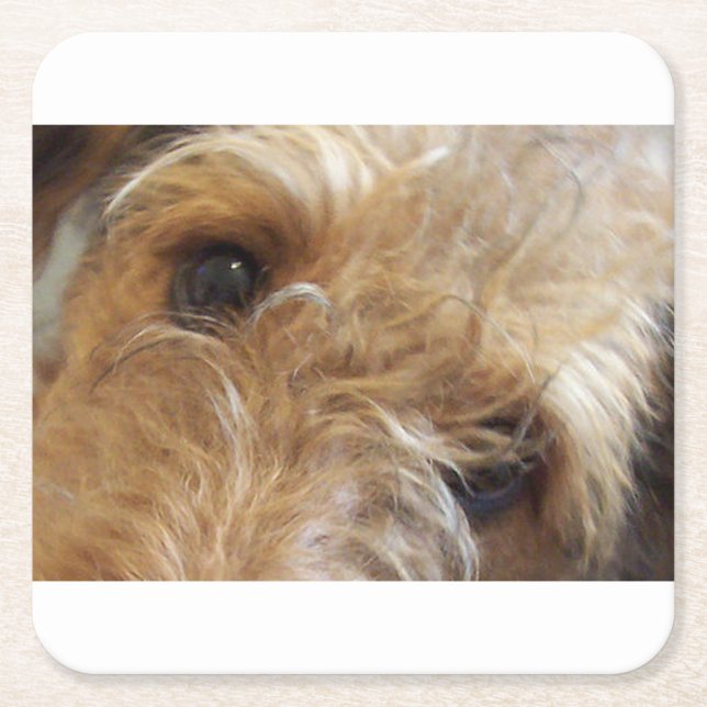 Porta-copo De Papel Quadrado olhos do airedale terrier (Frente)