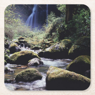 Porta-copo De Papel Quadrado Oregon, Floresta Nacional Siskiyou, Elk Creek
