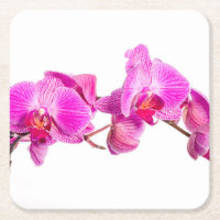 Orquídea