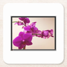 Orquídea rosa
