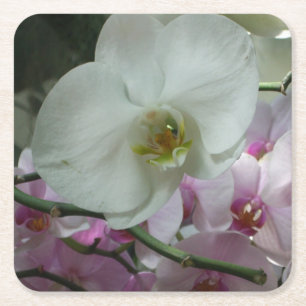 Porta-copo De Papel Quadrado Orquídeas brancas e roxas