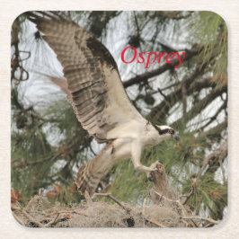 Porta-copo De Papel Quadrado Osprey Wildlife Paper Porta copos